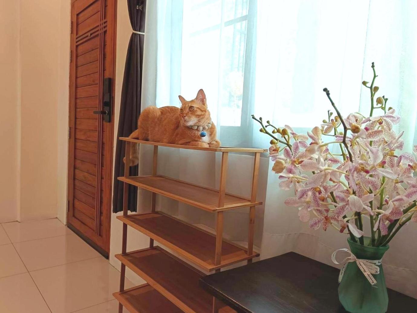 Sasima Bed And Breakfast Chiang Mai Extérieur photo