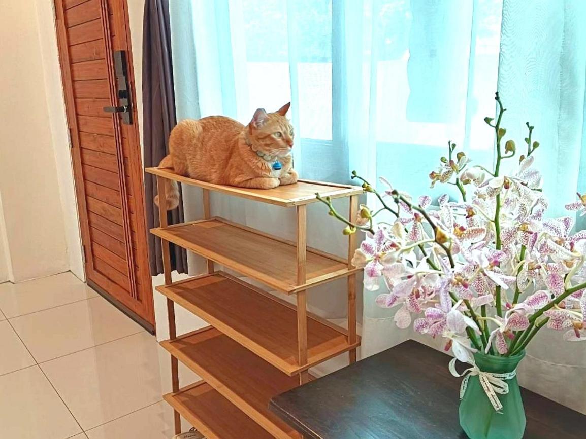 Sasima Bed And Breakfast Chiang Mai Extérieur photo